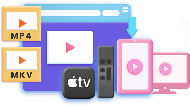 Streaming Video Recorder features